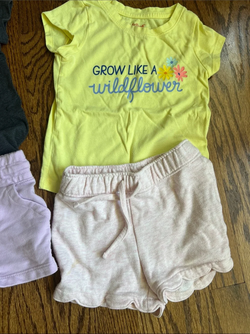Girls' 2T Outfit Bundle